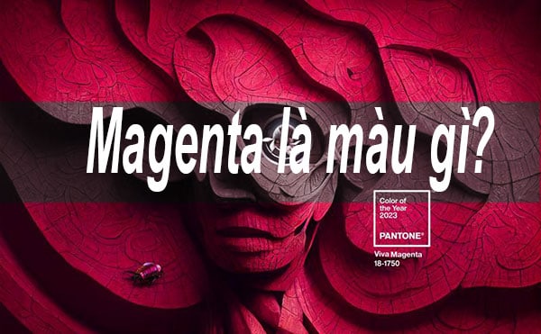 Magenta là màu gì