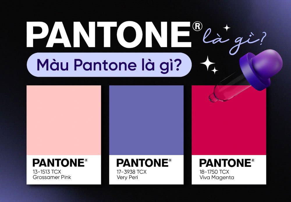 Màu pantone là gì