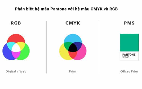 Màu pantone là gì